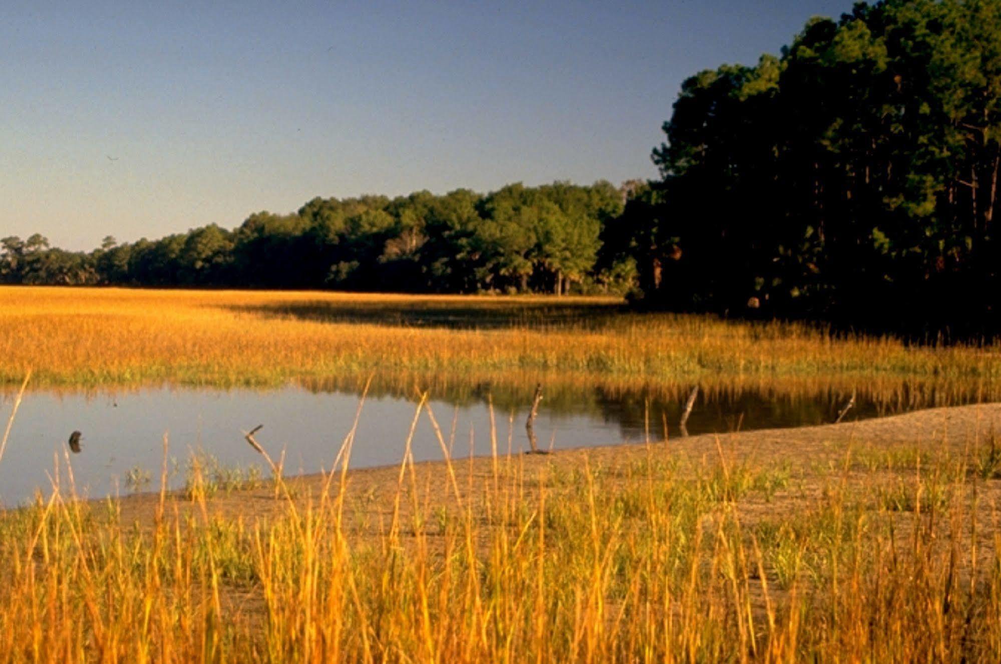 Hilton Head Value Villas ฮิลตันเฮดไอส์แลนด์ ภายนอก รูปภาพ